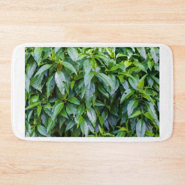 Item preview, Lush Green Leaves Dense Foliage Filling A Vibrant Garden Hedge With Fresh Natural Beauty designed and sold by Nmallia.