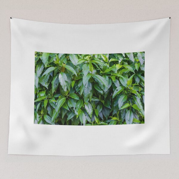 Item preview, Lush Green Leaves Dense Foliage Filling A Vibrant Garden Hedge With Fresh Natural Beauty designed and sold by Nmallia.
