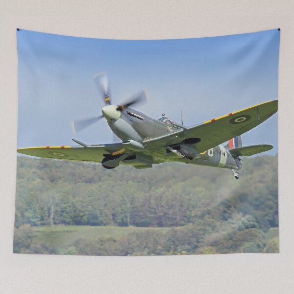 Item preview, Spitfire MH434 - Goodwood 2015 designed and sold by Colin  Williams Photography.