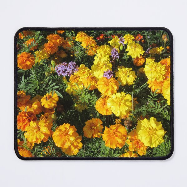 Item preview, Marigolds designed and sold by Alexander Krishchyunas.