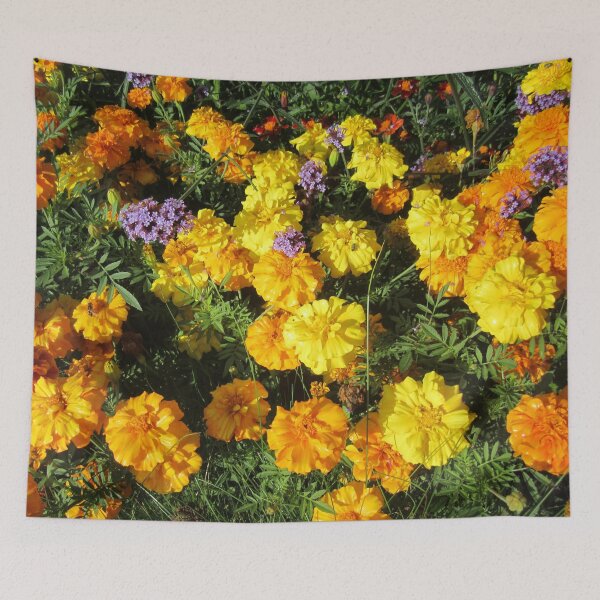 Item preview, Marigolds designed and sold by Alexander Krishchyunas.