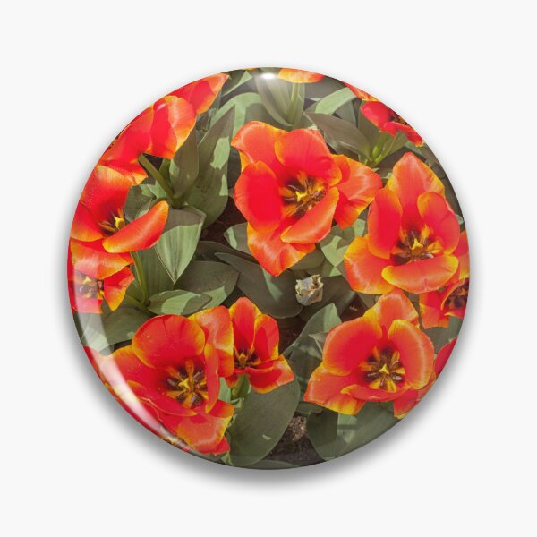 Item preview, Red tulips designed and sold by Photopat.