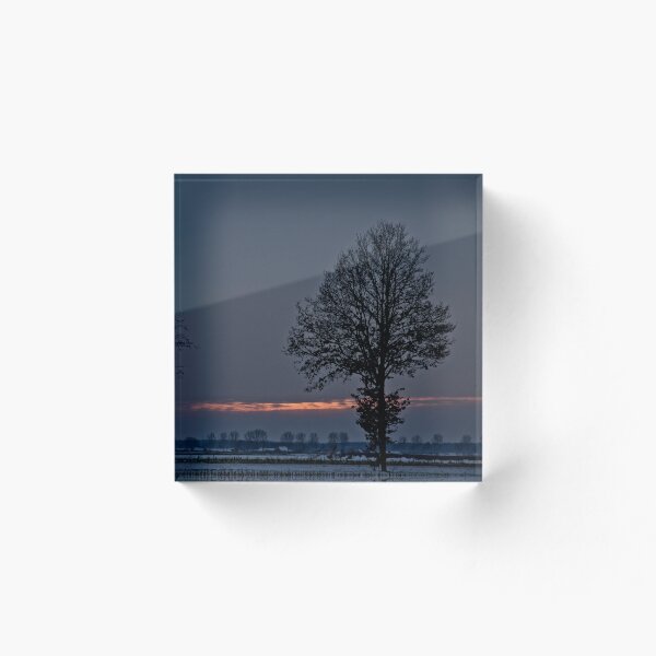 Item preview, Twin Trees at Winter Twilight designed and sold by ShotsbyDesiree.