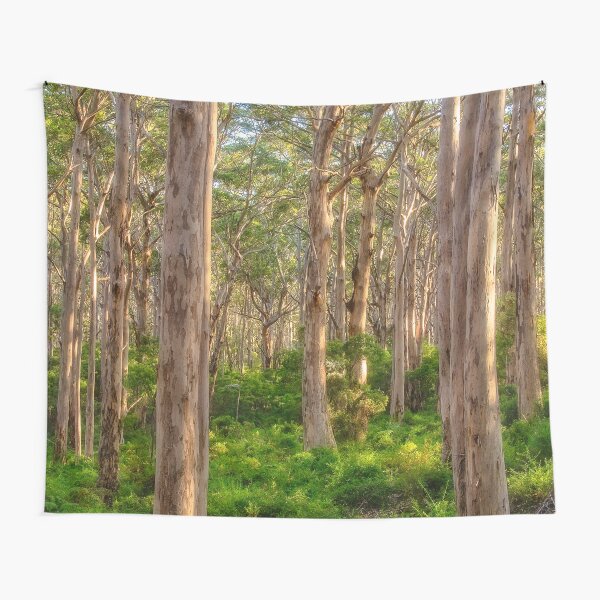Forest Twilight, Boranup Forest Tapestry