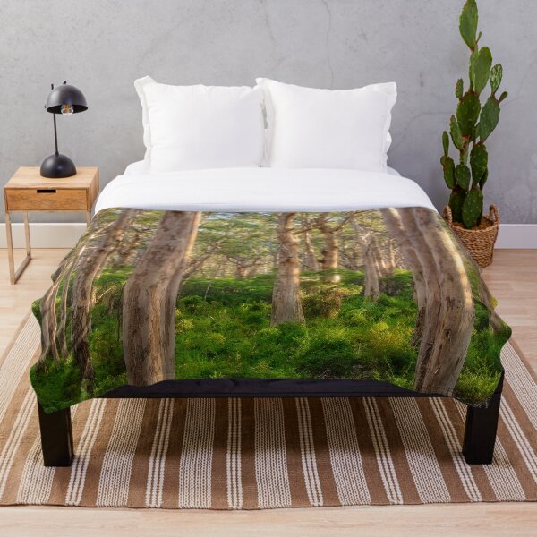 Item preview, Forest Twilight, Boranup Forest designed and sold by Dave Catley.