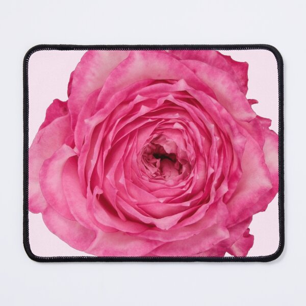 Item preview, pink rose flower sticker designed and sold by inainart.