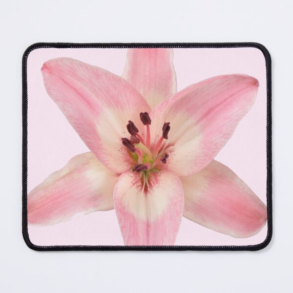 Item preview, pink lily flower sticker designed and sold by inainart.
