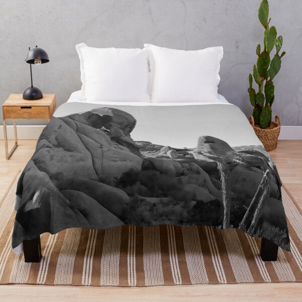 Item preview, Joshua Tree Park designed and sold by IgorKovalenko.