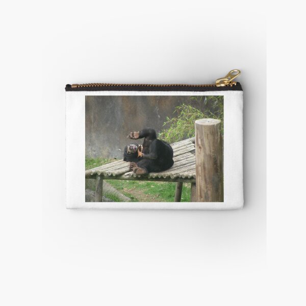 Item preview, Sun Bear 001 designed and sold by pasta26mc.