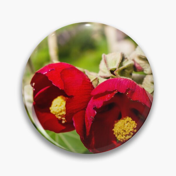 Item preview, Bright Red Hibiscus Flowers With Yellow Centers In Green Garden Setting designed and sold by Nmallia.