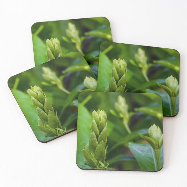 Item preview, Close-Up Of Green Plant Buds And Fresh Leaves In Soft Natural Light designed and sold by Nmallia.