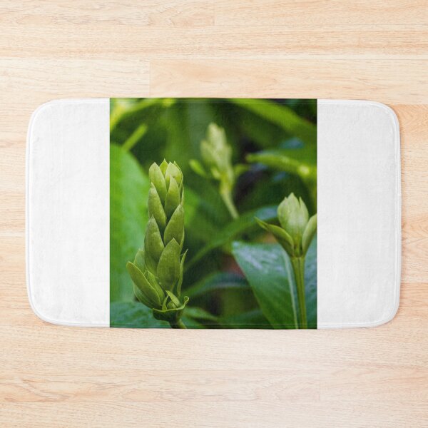 Item preview, Close-Up Of Green Plant Buds And Fresh Leaves In Soft Natural Light designed and sold by Nmallia.