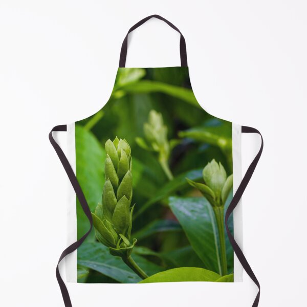Item preview, Close-Up Of Green Plant Buds And Fresh Leaves In Soft Natural Light designed and sold by Nmallia.