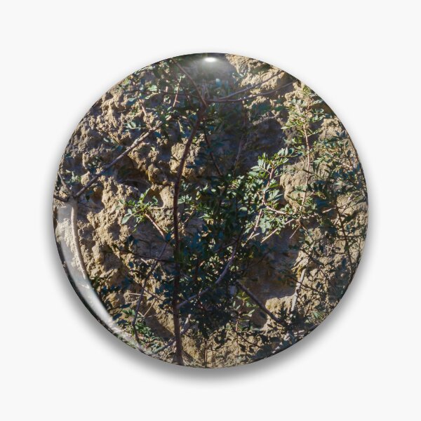 Item preview, Sunlit Bushes Grow Against Rough Rock Wall in a Dry Outdoor Scene designed and sold by Nmallia.