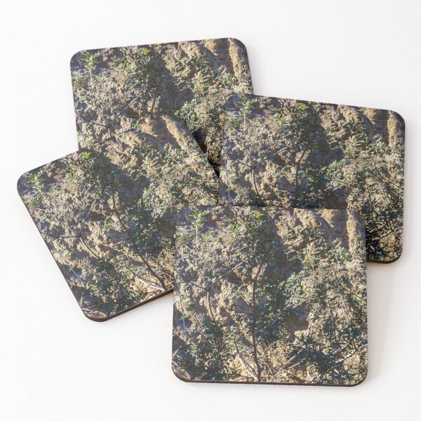 Item preview, Sunlit Bushes Grow Against Rough Rock Wall in a Dry Outdoor Scene designed and sold by Nmallia.