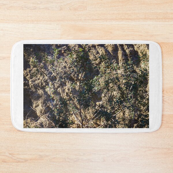 Item preview, Sunlit Bushes Grow Against Rough Rock Wall in a Dry Outdoor Scene designed and sold by Nmallia.