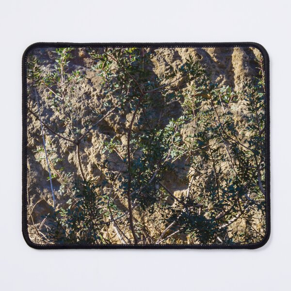 Item preview, Sunlit Bushes Grow Against Rough Rock Wall in a Dry Outdoor Scene designed and sold by Nmallia.
