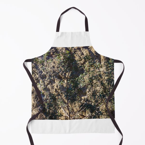 Item preview, Sunlit Bushes Grow Against Rough Rock Wall in a Dry Outdoor Scene designed and sold by Nmallia.