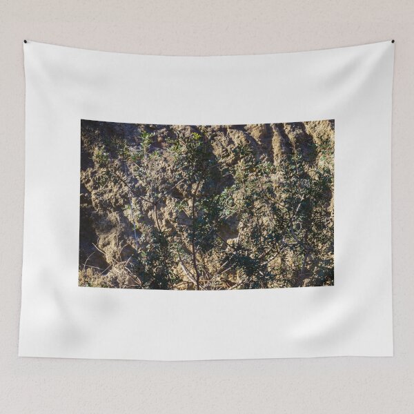 Item preview, Sunlit Bushes Grow Against Rough Rock Wall in a Dry Outdoor Scene designed and sold by Nmallia.