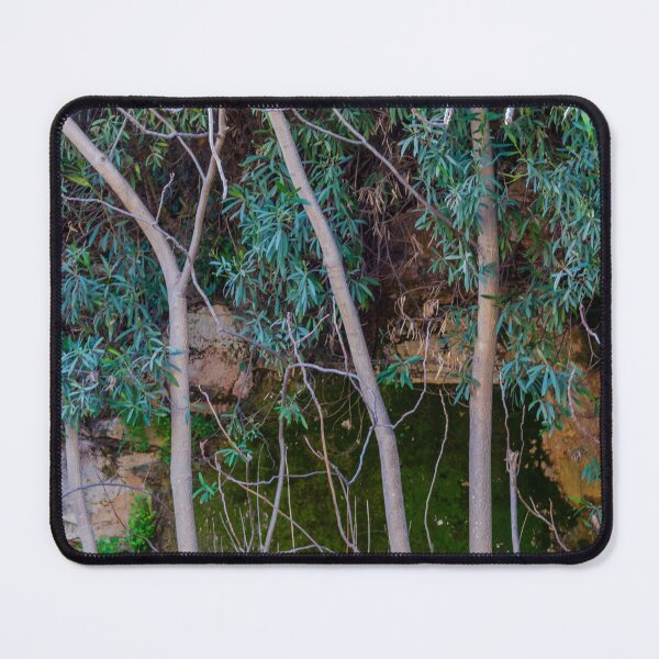 Item preview, Overgrown Garden Wall With Vines, Branches, and Rough Stone Texture designed and sold by Nmallia.