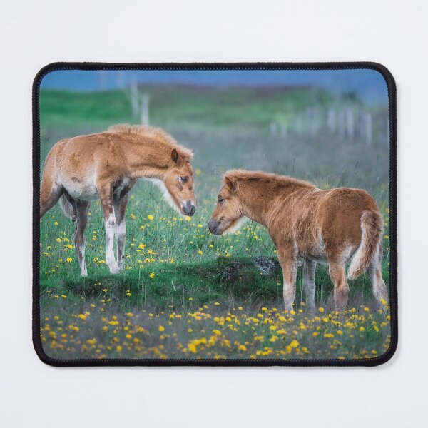 Item preview, Two Foals Making Friends 1 designed and sold by PhotoArt by Joan Carroll.