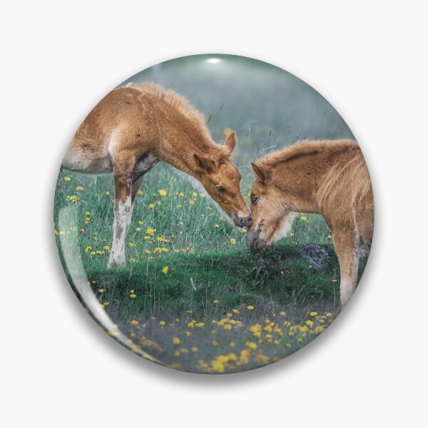 Item preview, Two Foals Making Friends 2 designed and sold by PhotoArt by Joan Carroll.