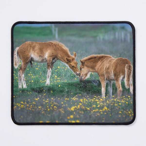 Item preview, Two Foals Making Friends 2 designed and sold by PhotoArt by Joan Carroll.