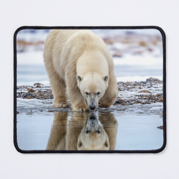 Item preview, Polar Bear Seeing Its Reflection In Water Puddle designed and sold by Maria Dryfhout.