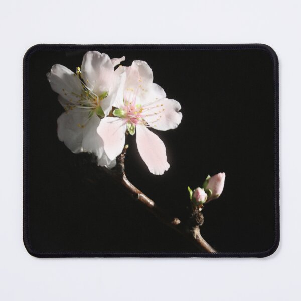 Item preview, Almond blossom. designed and sold by Paul Pasco.
