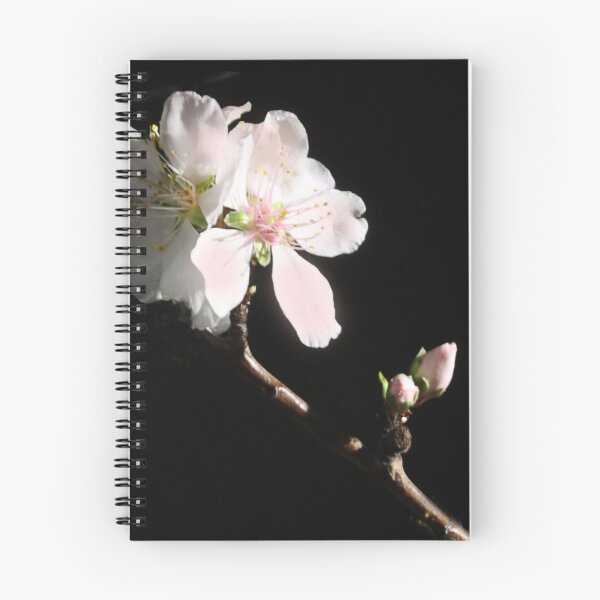 Item preview, Almond blossom. designed and sold by Paul Pasco.