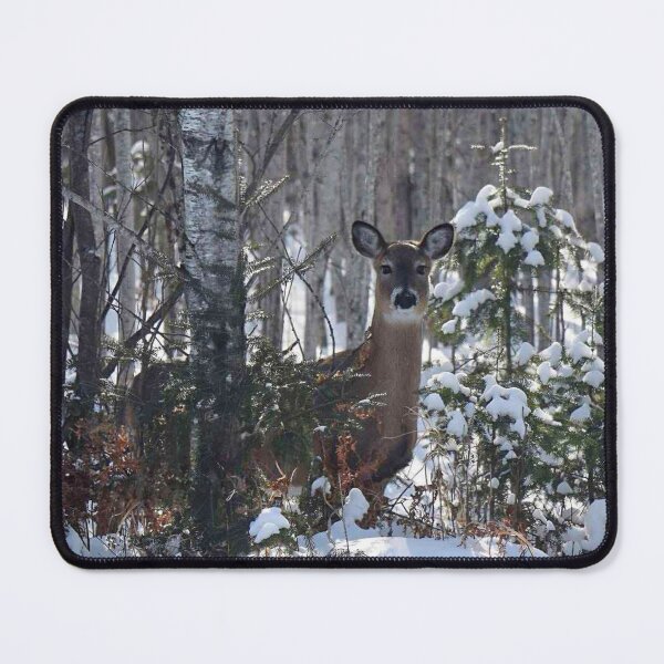 Item preview, Minnesota Deer  designed and sold by passion4photos.