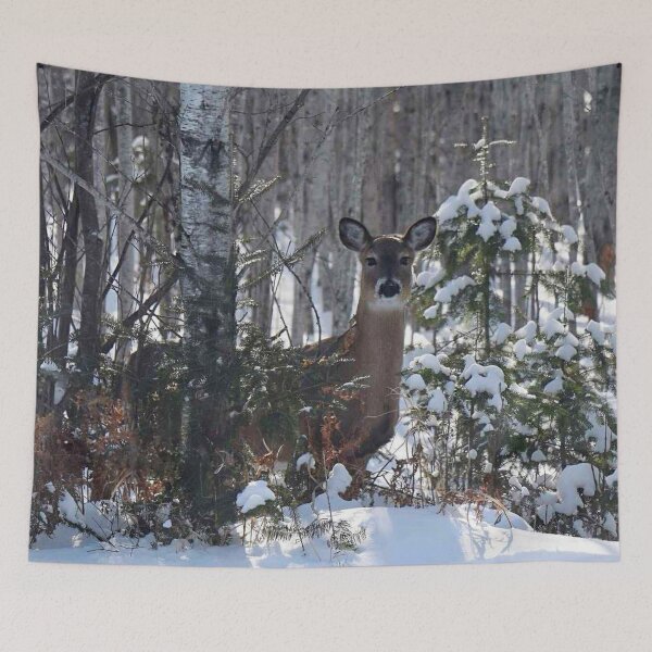 Item preview, Minnesota Deer  designed and sold by passion4photos.