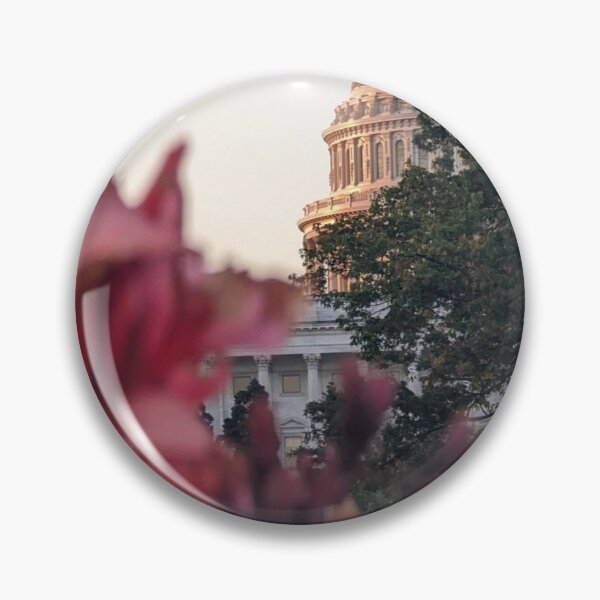 Item preview, Capitol Dome with Pink Flowers Cannas -1 designed and sold by CraftMuse19.