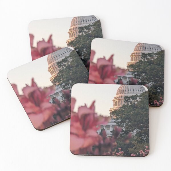 Item preview, Capitol Dome with Pink Flowers Cannas -1 designed and sold by CraftMuse19.