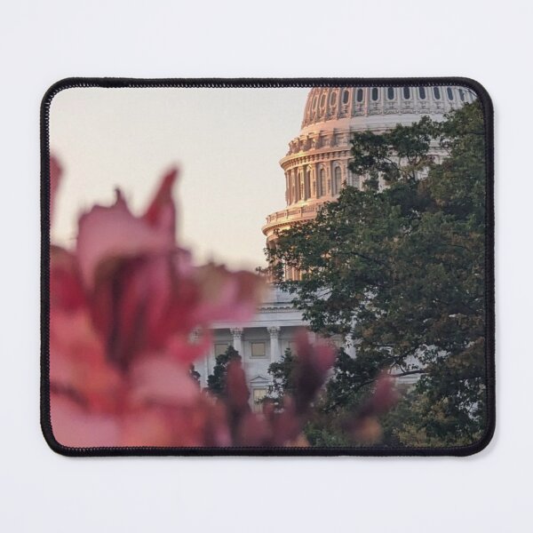 Item preview, Capitol Dome with Pink Flowers Cannas -1 designed and sold by CraftMuse19.