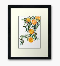 orange watercolor Framed Print