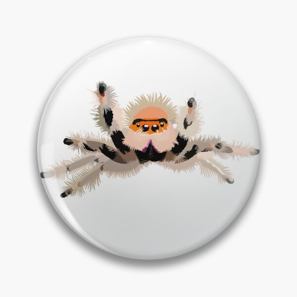Artikelvorschau, Spinne entworfen und verkauft von Happy Hicks .