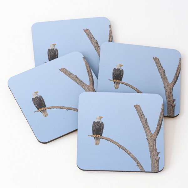 Item preview, Bald Eagle alone on curved branch with cloudless blue sky and eye detail designed and sold by lisavonbiela.