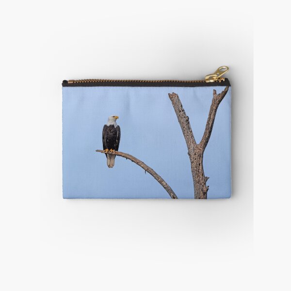 Item preview, Bald Eagle alone on curved branch with cloudless blue sky and eye detail designed and sold by lisavonbiela.