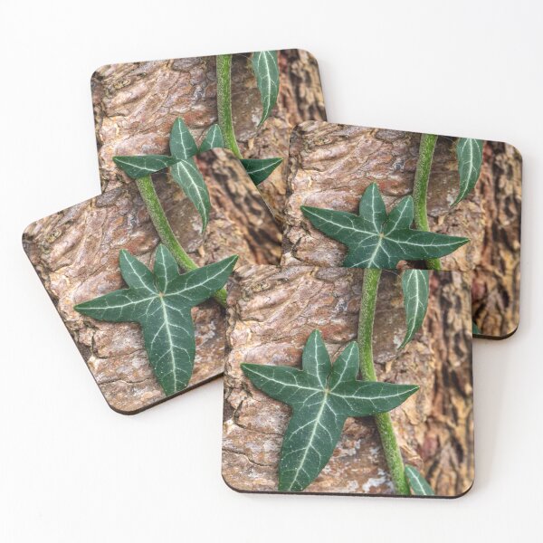 Item preview, Close-up of ivy leaves creeping up a tree trunk designed and sold by lisavonbiela.