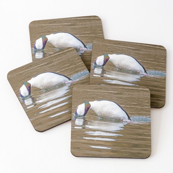 Item preview, Male Bufflehead Duck in mid-dive designed and sold by lisavonbiela.
