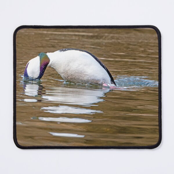 Item preview, Male Bufflehead Duck in mid-dive designed and sold by lisavonbiela.