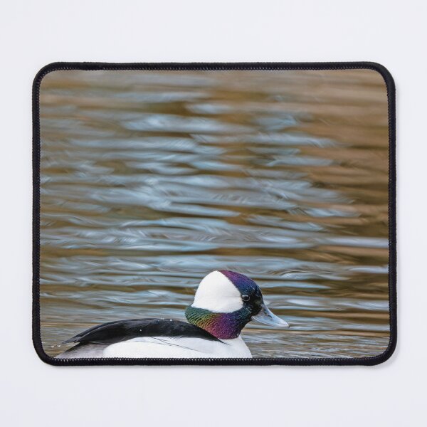 Item preview, Male Bufflehead Duck in profile designed and sold by lisavonbiela.