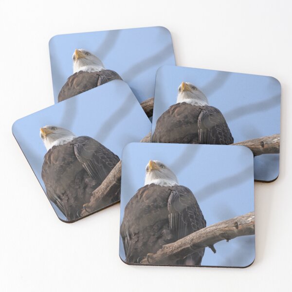 Item preview, Bald Eagle viewed from below with both eyes forward designed and sold by lisavonbiela.