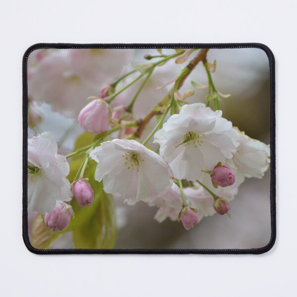 Item preview, Soft Cherry Blossom Spring Floral Photography Wall Art designed and sold by ArcanePrintsxo.