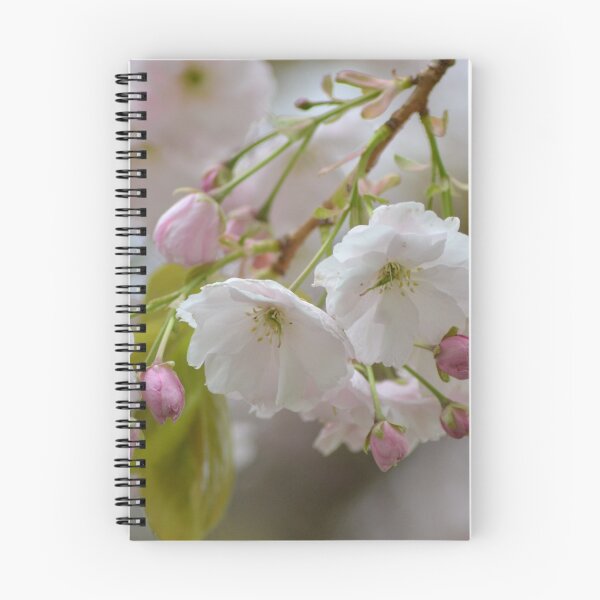 Item preview, Soft Cherry Blossom Spring Floral Photography Wall Art designed and sold by ArcanePrintsxo.