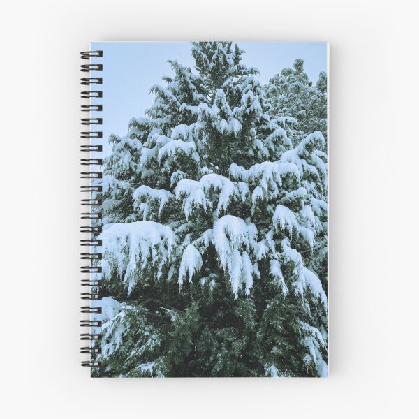Item preview, Snow-Covered Juniper in Winter – Moody Colorado Evergreen designed and sold by Jon Moffat Photography.