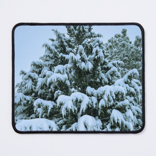 Item preview, Snow-Covered Juniper in Winter – Moody Colorado Evergreen designed and sold by Jon Moffat Photography.