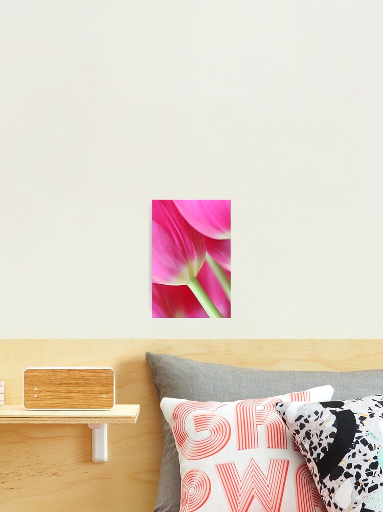 Thumbnail 2 of 3, Photographic Print, Pink designed and sold by Riversedge.