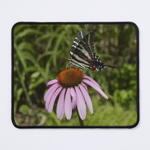 Item preview, Zebra Swallowtail Butterfly on Purple Coneflower designed and sold by Blossom-Breeze.